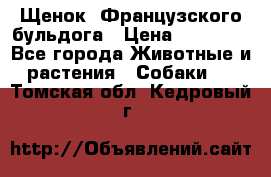 Щенок  Французского бульдога › Цена ­ 35 000 - Все города Животные и растения » Собаки   . Томская обл.,Кедровый г.